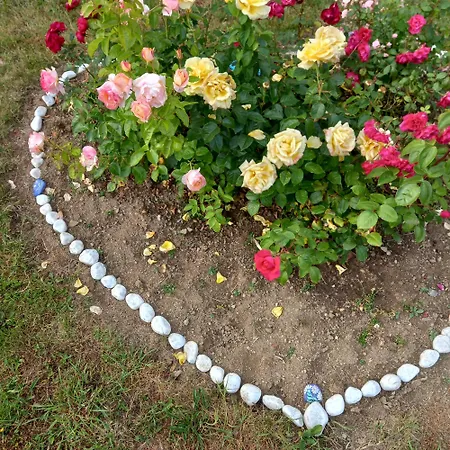 Oda ve Kahvaltı D'hotes Couleurs D'elvine