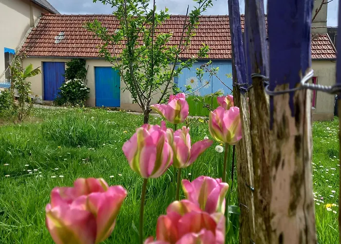 D'hotes Couleurs D'elvine Coutances