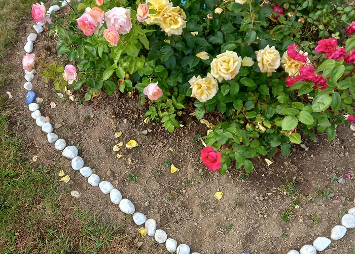 Bed & Breakfast D'hotes Couleurs D'elvine